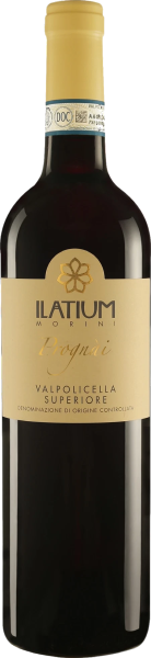 Red Italian Ilatium Morini Campo Prognai Valpolicella Superiore 2017 wine